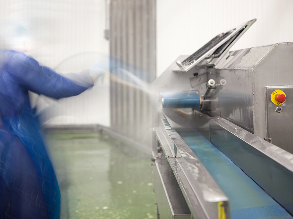 Cleaning a food processing machine